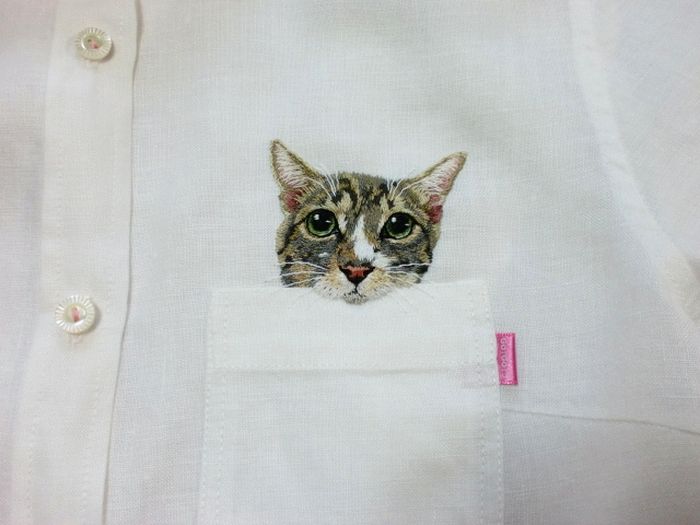 Shirts with Cats (38 pics)