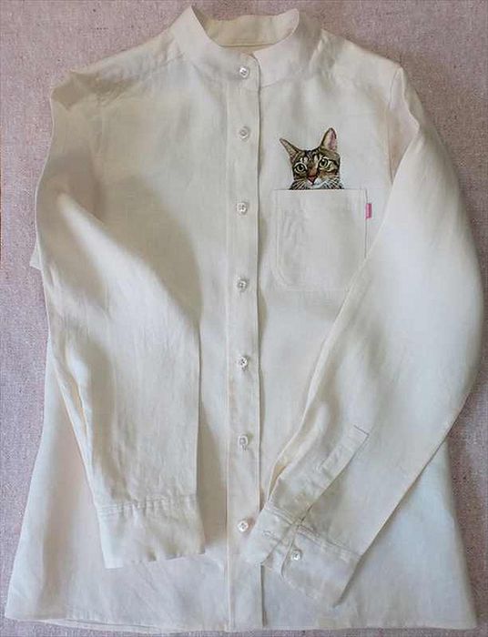 Shirts with Cats (38 pics)