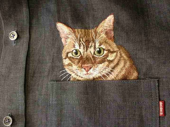 Shirts with Cats (38 pics)