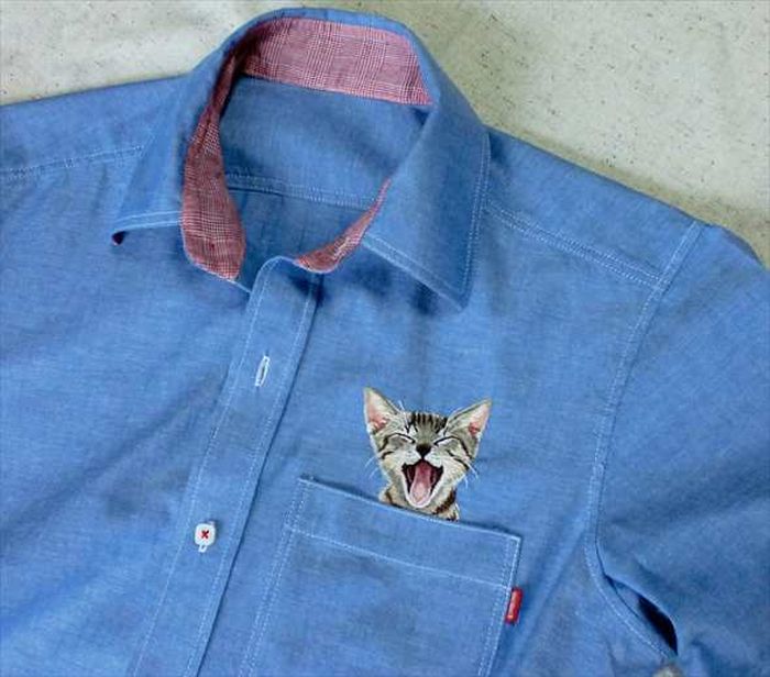 Shirts with Cats (38 pics)