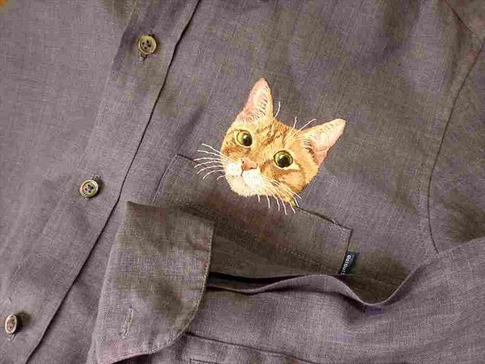 Shirts with Cats (38 pics)