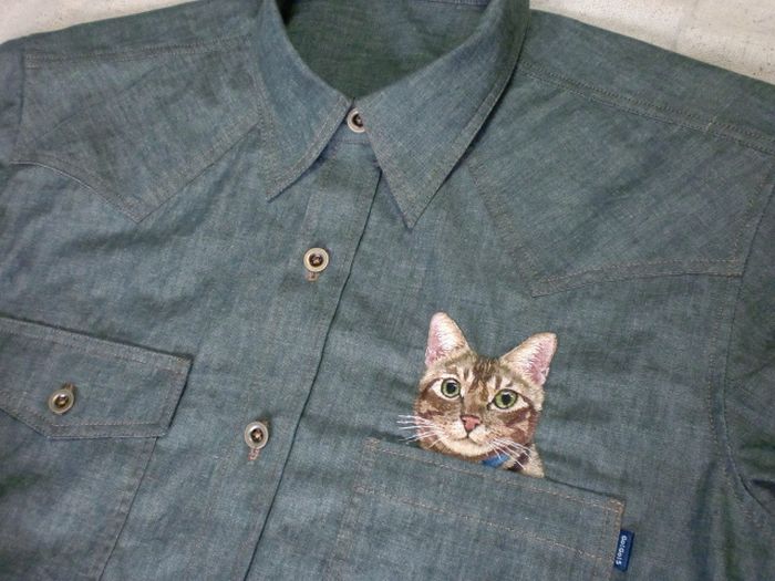 Shirts with Cats (38 pics)