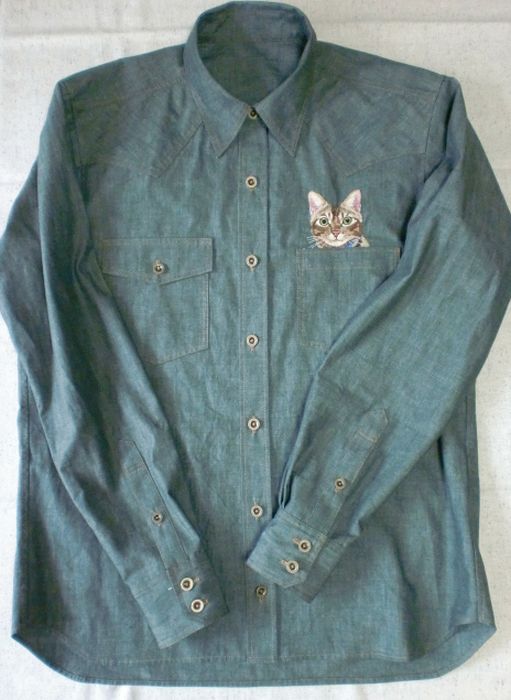 Shirts with Cats (38 pics)