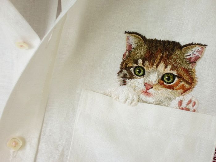 Shirts with Cats (38 pics)