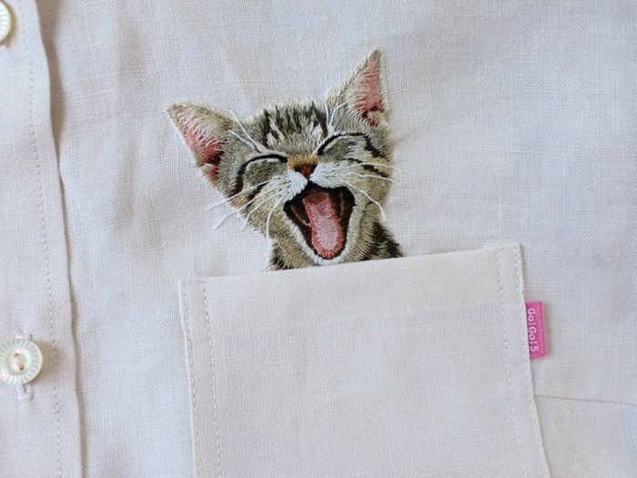 Shirts with Cats (38 pics)