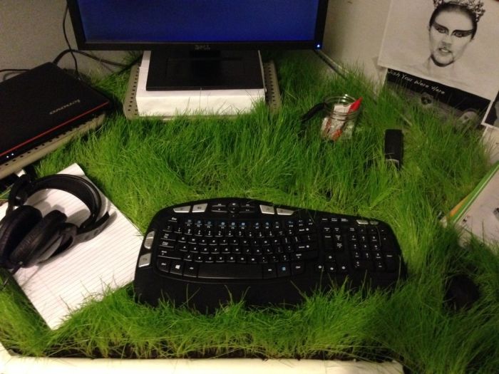 Green Workplace (11 pics)