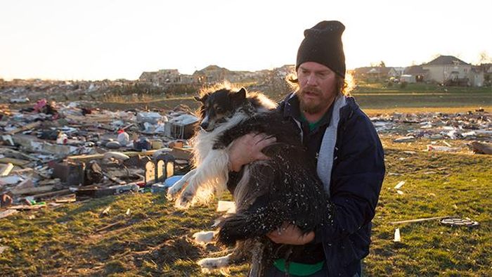 Man Finds His Dog after Illinois Tornado (9 pics)