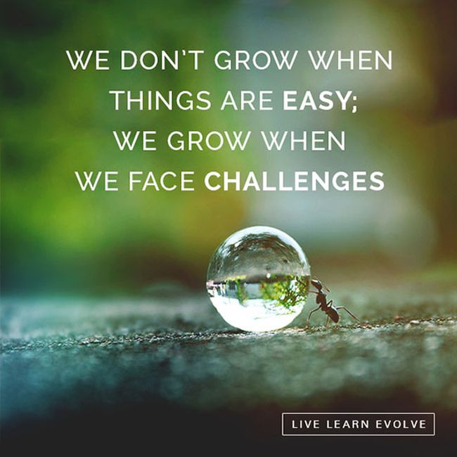 Motivation Pictures. Part 11 (31 pics)