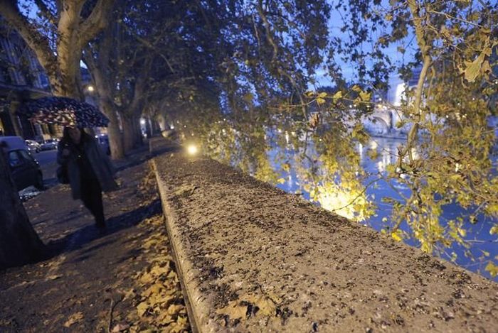 Starlings Occupy Rome (12 pics)