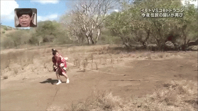 GIFs with Captions. Part 2 (18 gifs)