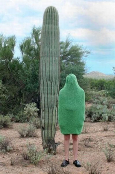 Funny and Weird Clothes (49 pics)