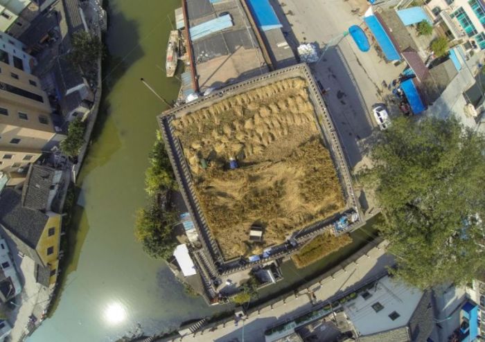 Roof as Farmland (6 pics)