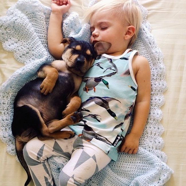 A Toddler and a Puppy Take a Nap (15 pics)