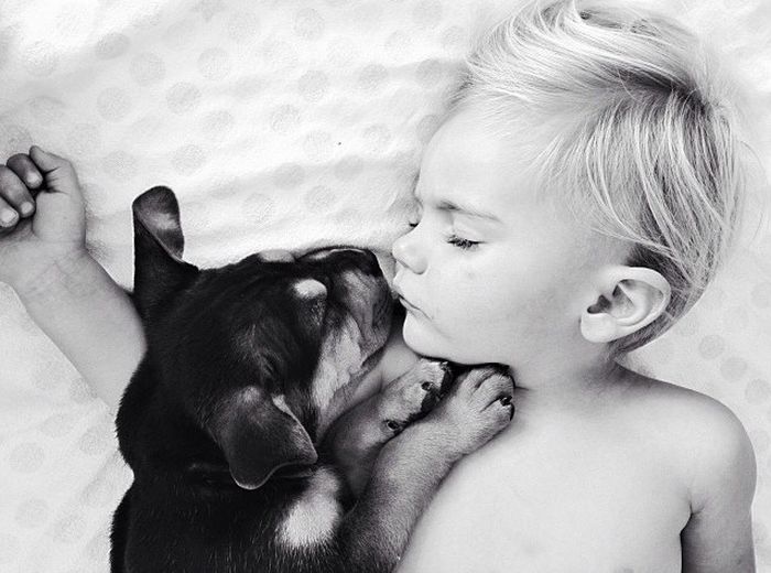 A Toddler and a Puppy Take a Nap (15 pics)