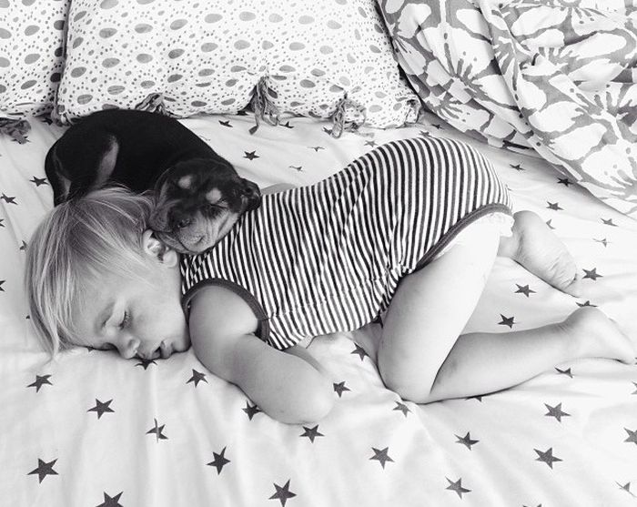 A Toddler and a Puppy Take a Nap (15 pics)