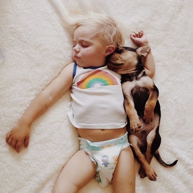 A Toddler and a Puppy Take a Nap (15 pics)