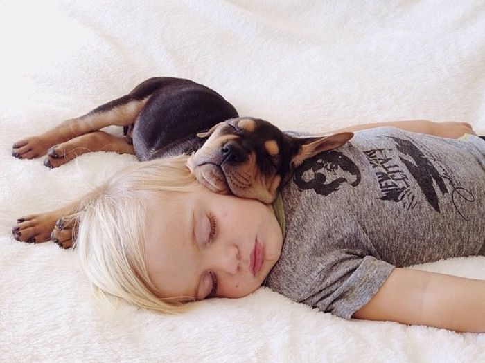 A Toddler and a Puppy Take a Nap (15 pics)