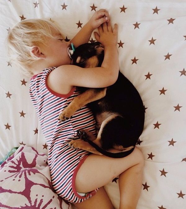 A Toddler and a Puppy Take a Nap (15 pics)