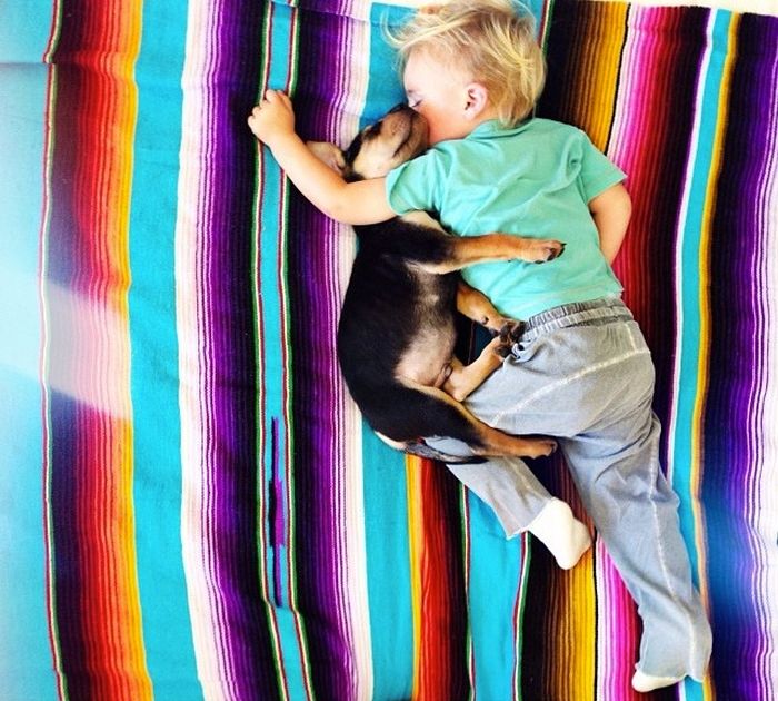A Toddler and a Puppy Take a Nap (15 pics)
