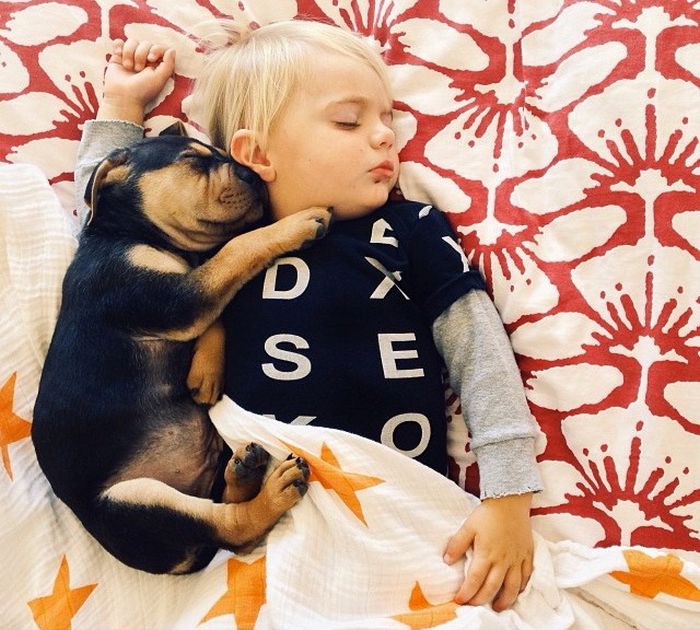 A Toddler and a Puppy Take a Nap (15 pics)