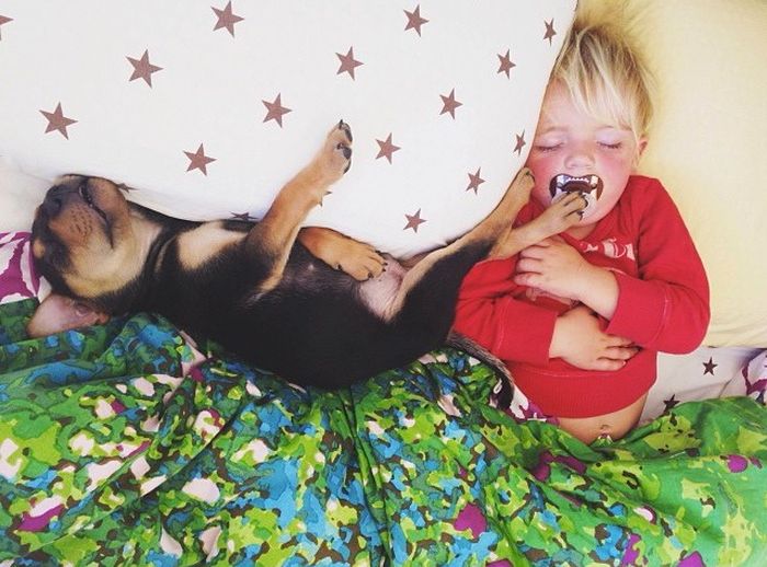 A Toddler and a Puppy Take a Nap (15 pics)