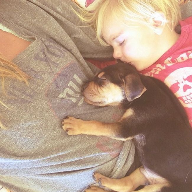 A Toddler and a Puppy Take a Nap (15 pics)