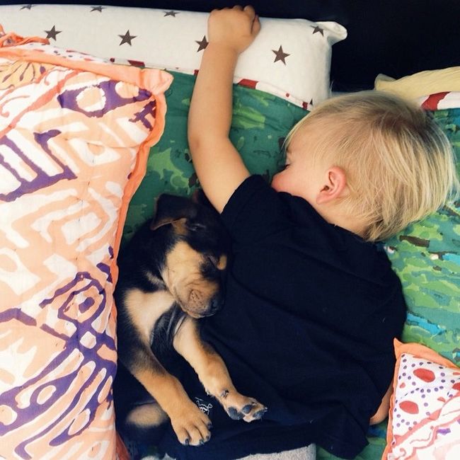 A Toddler and a Puppy Take a Nap (15 pics)