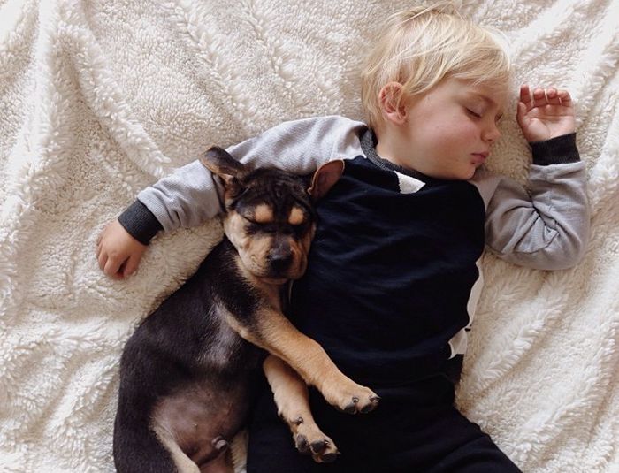 A Toddler and a Puppy Take a Nap (15 pics)