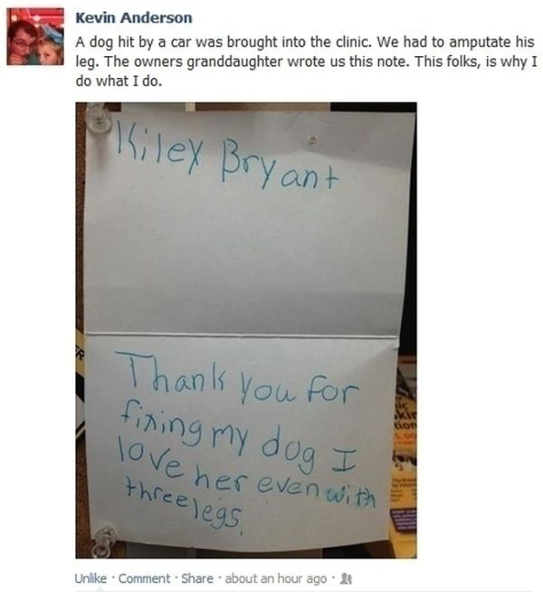 Faith in Humanity Restored Again. Part 2 (30 pics)