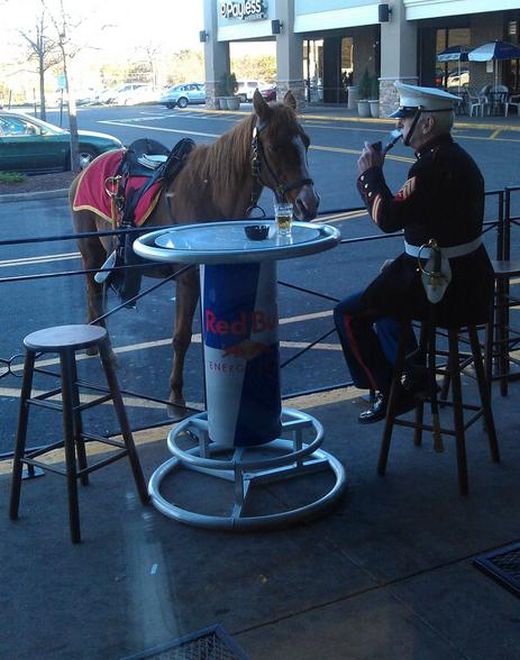 Funny Bar Photos (23 pics)