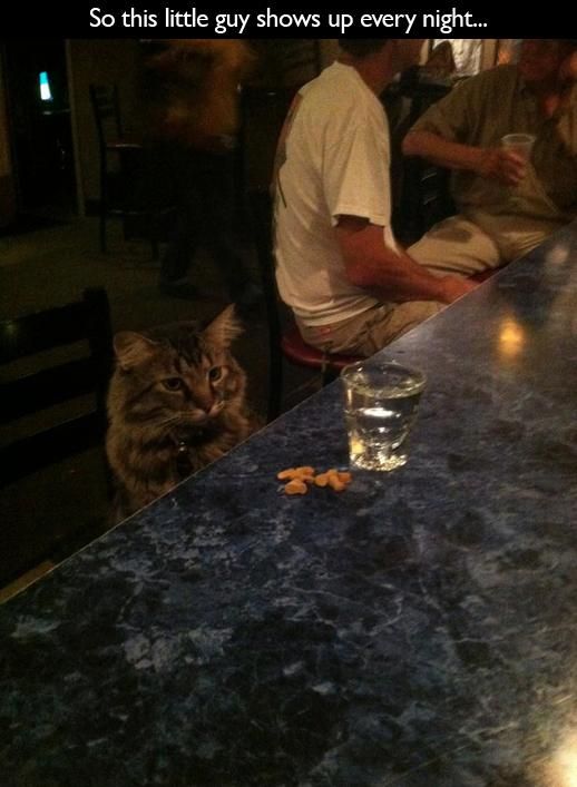 Funny Bar Photos (23 pics)