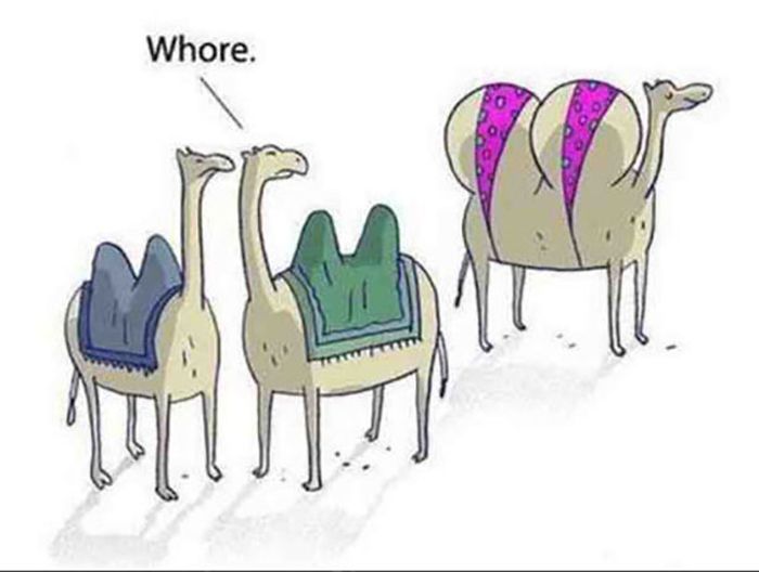 So True (30 pics)