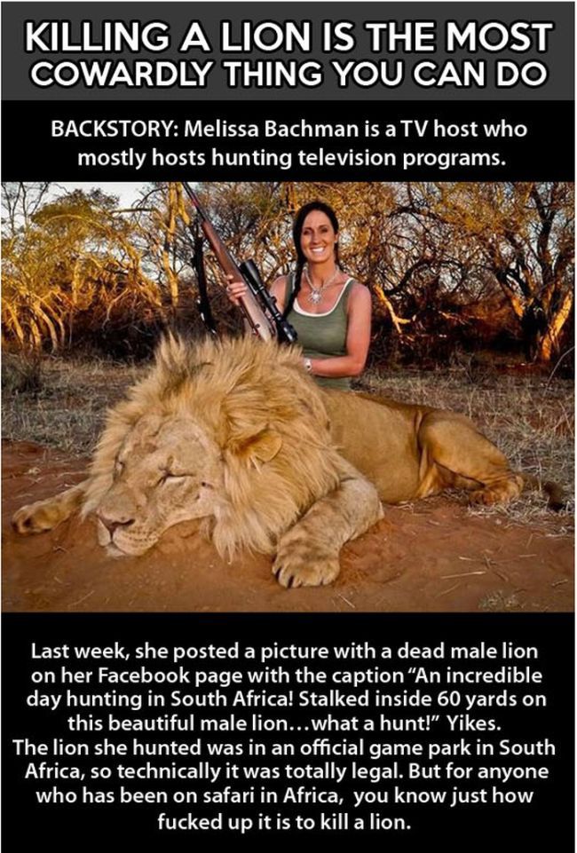 There’s No Sport in Killing Lions (14 pics)