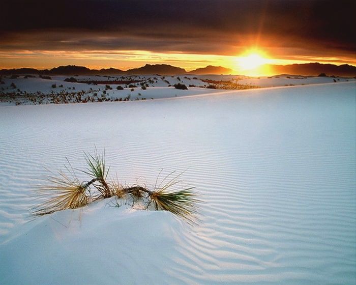 White Sands, New Mexico (12 pics)