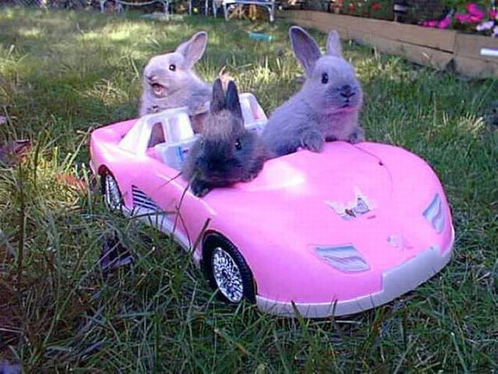 Cute Photos (30 pics)