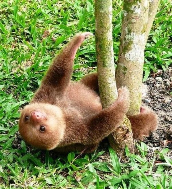 Cute Photos (30 pics)