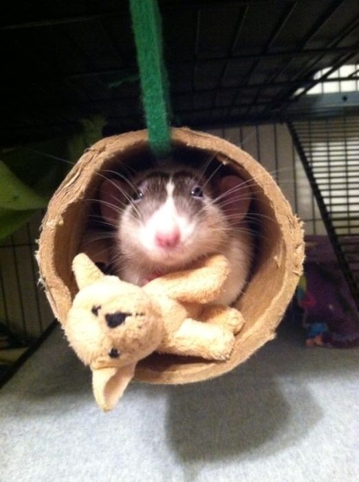 Cute Photos (30 pics)