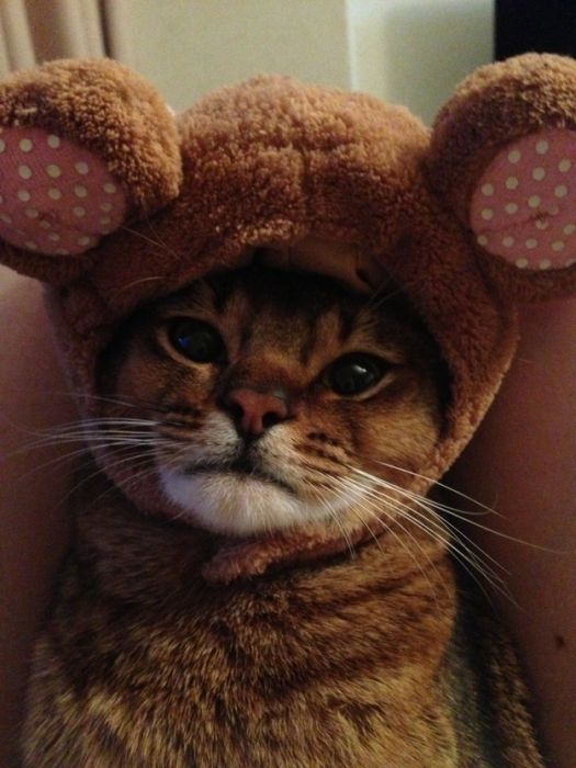 Cute Photos (30 pics)