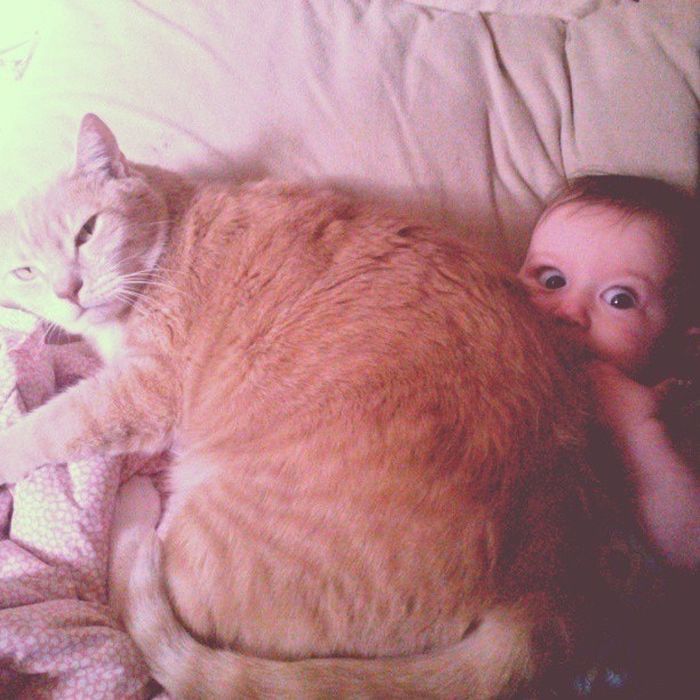 Cute Photos (30 pics)