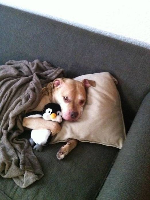 Cute Photos (30 pics)