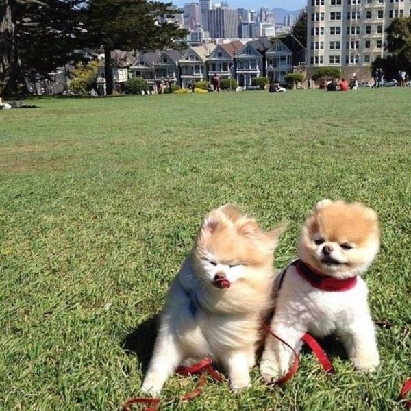 Cute Photos (30 pics)