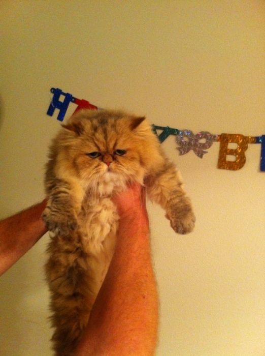 Cute Photos (30 pics)