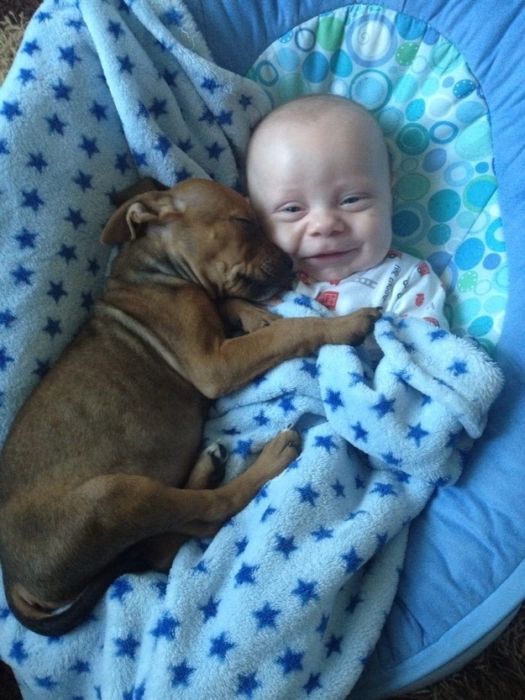 Cute Photos (30 pics)