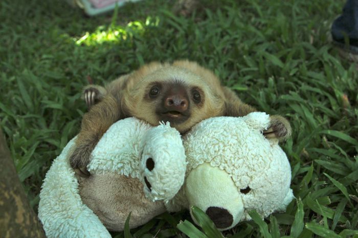 Cute Photos (30 pics)
