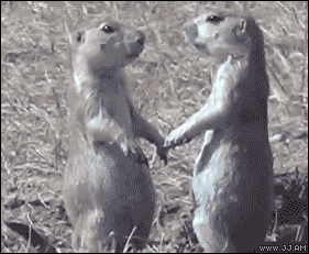 Cute Photos (30 pics)