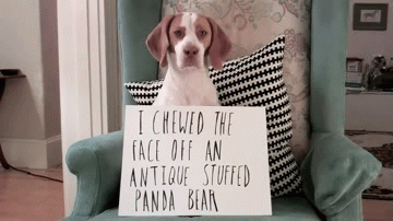 Cute Photos (30 pics)