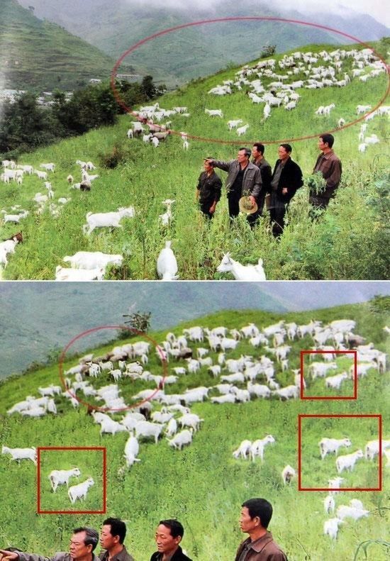 North Korean Officials Get Photoshop Totally Wrong (10 pics)