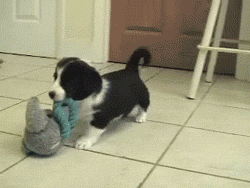 Did It Ever Happen to You When... Part 66 (16 gifs)