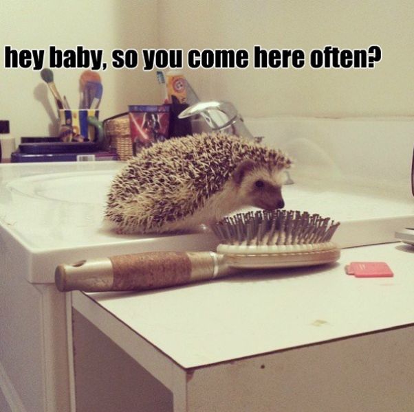 Acid Picdump (129 pics)
