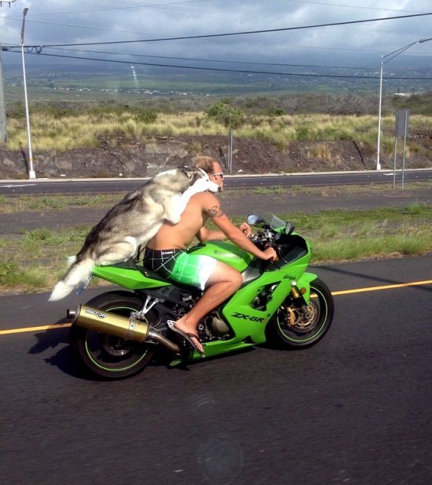 Acid Picdump (129 pics)